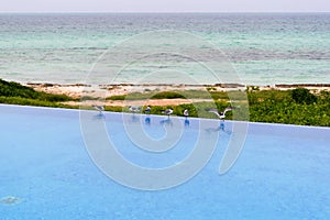 Seagulls on the swimming pool edge, Cayo Guillermo, Cuba