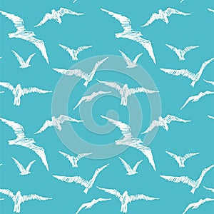 Seagulls. Vector seamless pattern with birds in the sky. Hand dr