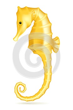 Seahorse