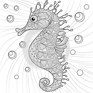 Seahorse. Adult antistress coloring page