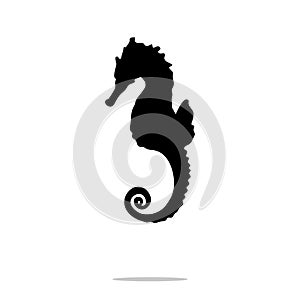 Seahorse black silhouette aquatic animal