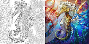 Seahorse colorless and color samples