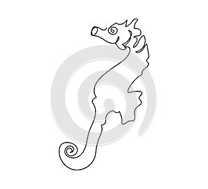 Seahorse, hippocampus continuous line drawing. One line art of fish, syngnathidae, marine animal.