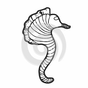 Seahorse - an inhabitant of the ocean - vector linear picture for coloring. Fish seahorse - underwater life for a coloring book.