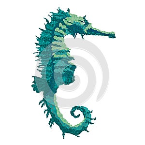 Seahorse marine life polygons white background vector illustration editable hand draw