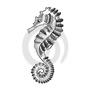 Seahorse sea animal sketch vector illustration