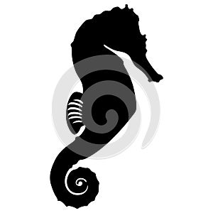 Seahorse or sea horse eps file