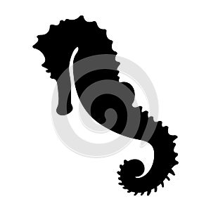 Seahorse or sea horse eps file