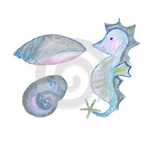 seahorse and seashells ocean set watercolor illustration isolated on white background base for design textile tableware photo