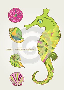 Seahorse and set shells
