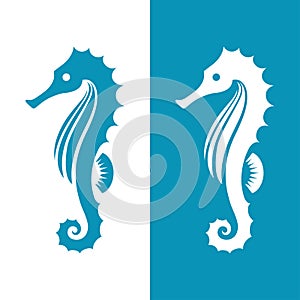 Seahorse silhouette in blue and white colors. photo