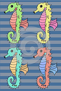 Seahorse vector illustration set