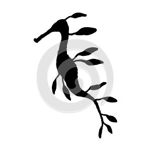 Seahorse. Vector silhouette wild ocean animal underwater life doodle isolated illustration.