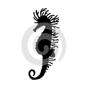 Seahorse. Vector silhouette wild ocean animal underwater life doodle isolated illustration.