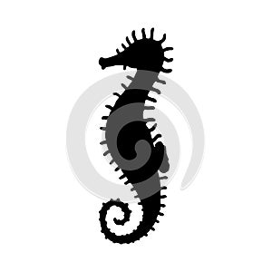 Seahorse. Vector silhouette wild ocean animal underwater life doodle isolated illustration.