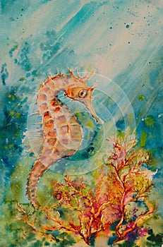 Seahorse watercolors painted.