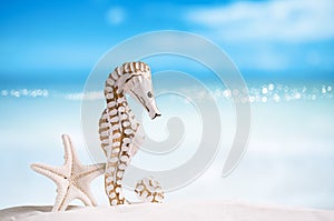 Seahorse with white starfish on white sand beach, ocean, sky an