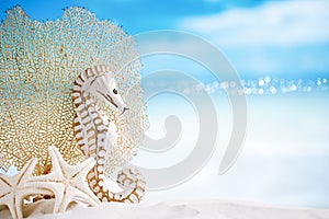 Seahorse with white starfish on white sand beach, ocean, sky an