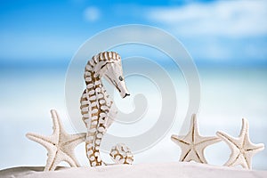 Seahorse with white starfish on white sand beach, ocean, sky an