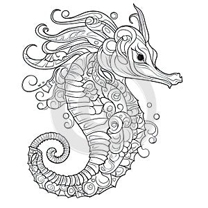 Seahorse zentangle stylized coloring pages for adults