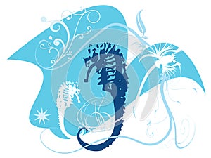 Seahorses