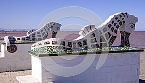 Seahorses in brown and white photo