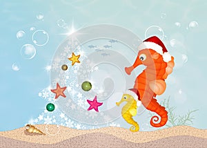 Seahorses celebrate Christmas