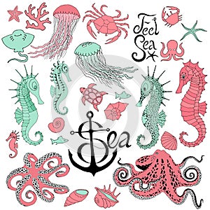 Seahorses with jellyfish, octopus, crab and other