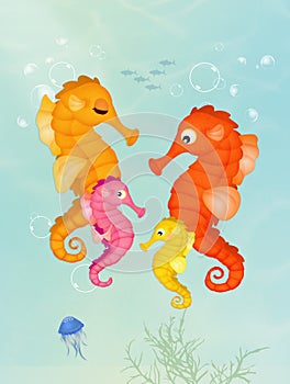 Seahorses in the ocean