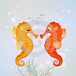 Seahorses on the reef