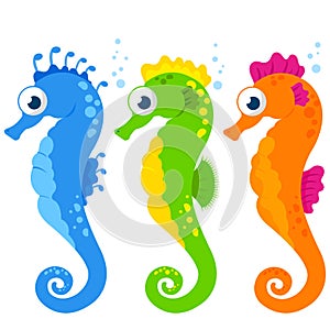 Seahorses on white background. Vector illustration photo