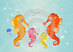 Seahorses in the water