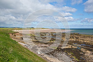 Seahouses beach Northumberland coast north east England UK with view to Bamburgh Castle