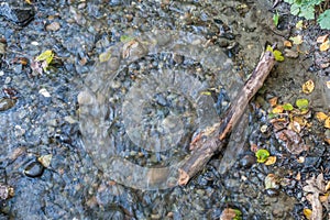 Seahurst Beach Rushing Stream