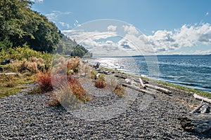 Seahurst Beach Shoreline