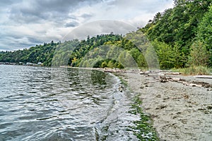 Seahurst Beach Shoreline 5