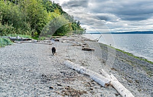 Seahurst Beach Shoreline