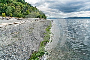 Seahurst Beach Shoreline 4