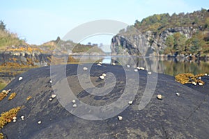 Seakayaking trip around island HosnÃÂ¸y in Norway photo