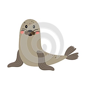 Seal animal cartoon character vector illustration