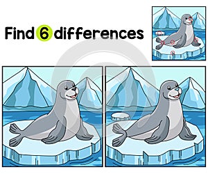 Seal Animal Find The Differences