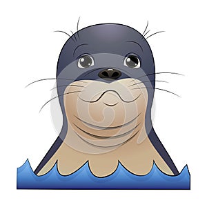 Seal animal head smiling. Cartoon vector design