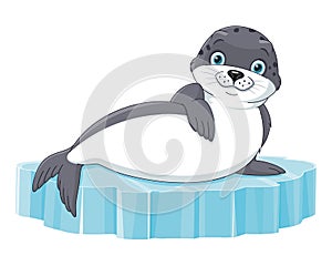 Seal animal lies on an ice floe. Cartoon illustration