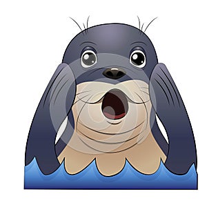 Seal animal screaming and clasped flippers head