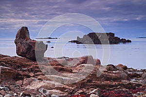 Seal bay, of Westfjords, Iceland photo