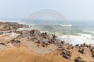 The seal colony at Cape Cross, on the atlantic coastline of Namibia, Africa. Expansive view on the beach, the rough ocean and the