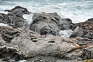 Seal Colony resting on a rocky cliff in Peninsula Walkway Seal Spotting in Kaikoura, New Zealand