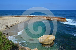 Seal cover of sand along  the LaJolla Beach