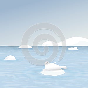 Seal on ice floe with coastal and iceberg behind vector illustration. Snow landscape concept have blank space