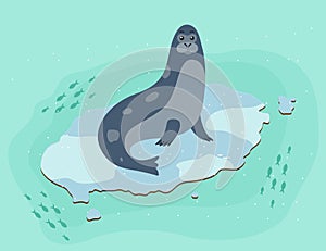 Seal isolated on a blue background. Sea animal sitting on an ice floe surrounded by fishes